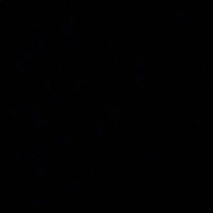 Meet your Posher, Citlalli